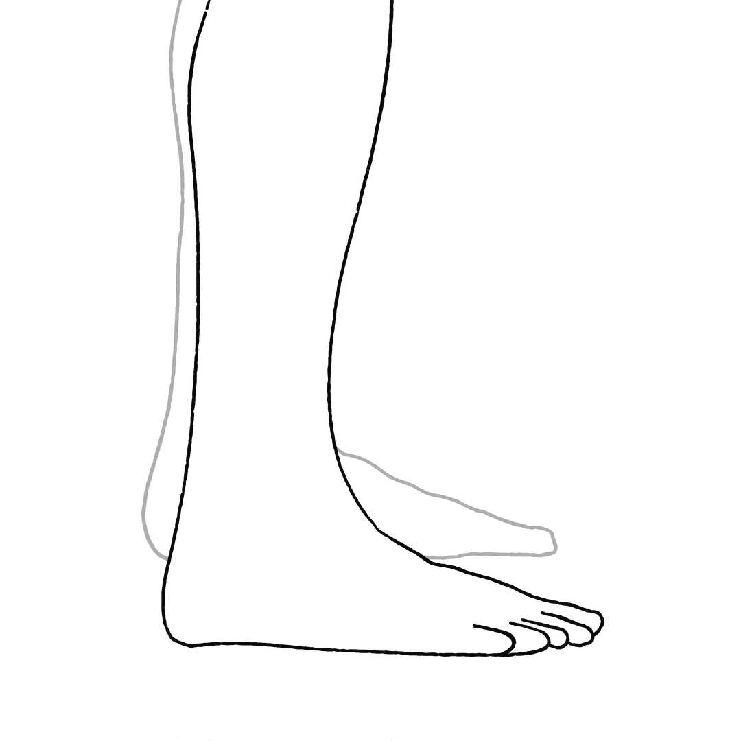 animation revealing shape of last and foot