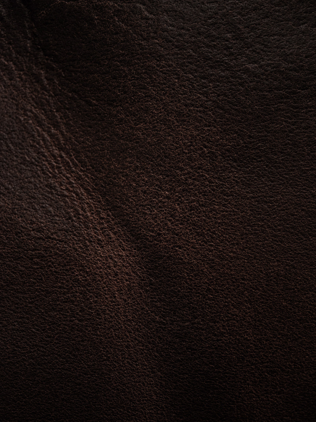 close up of chocolate rough shot leather
