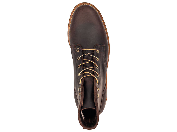 Eastern Brown Snakebite | Plain Toe