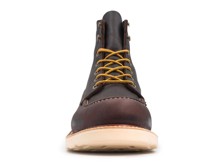 Eastern Brown Snakebite | Moc Toe