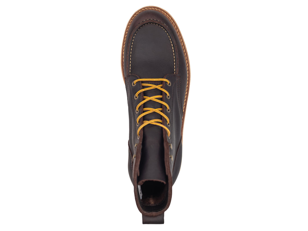 Eastern Brown Snakebite | Moc Toe