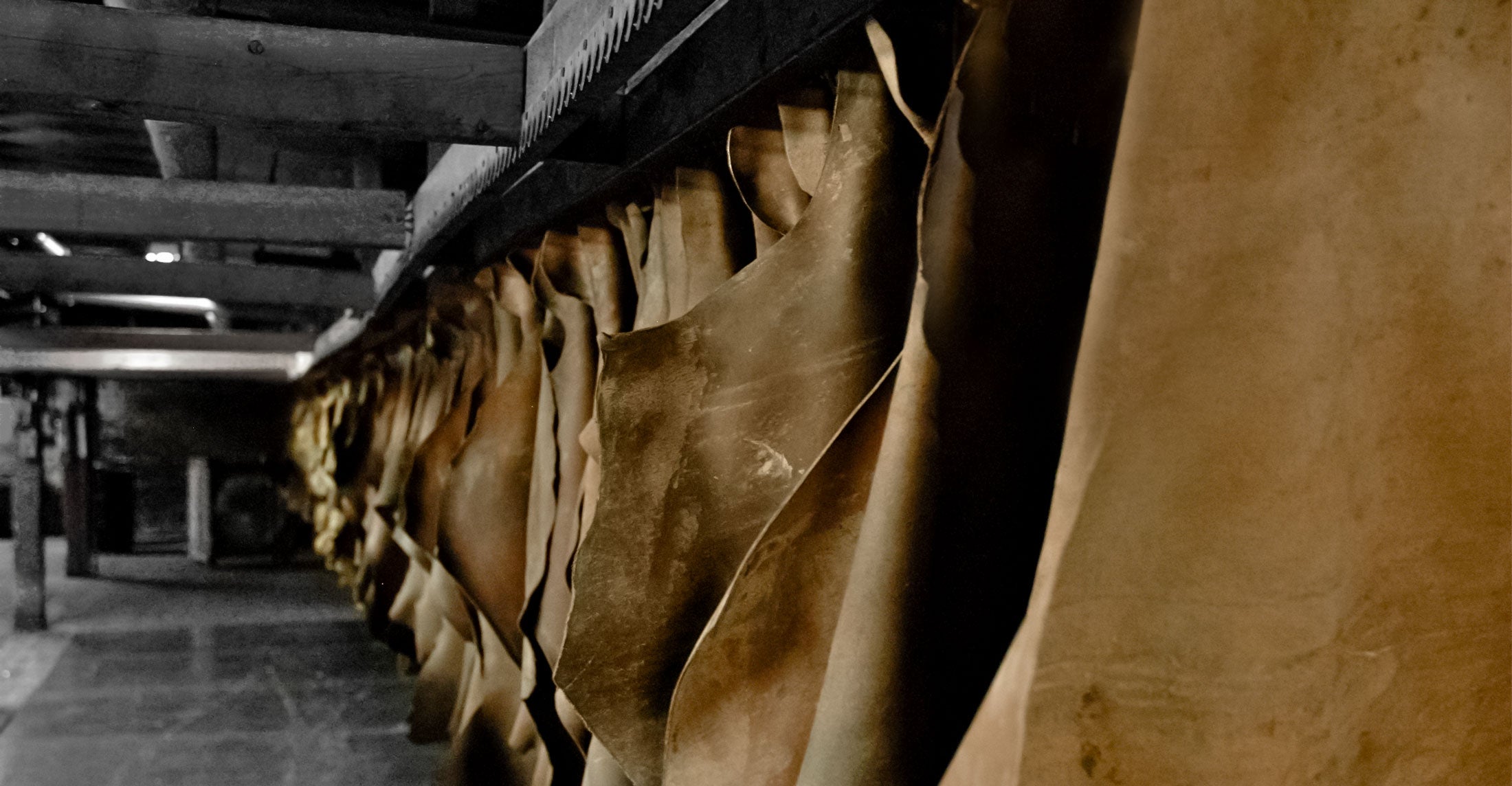 Horween hanging hides